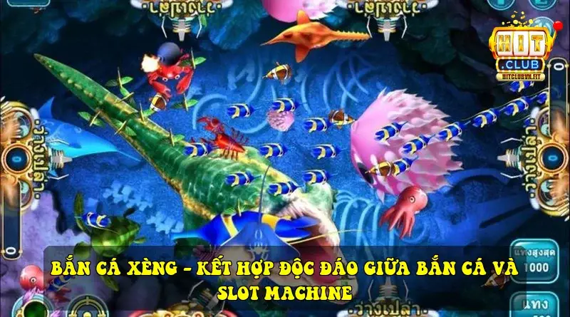 ban ca xeng 69251e5430c2f